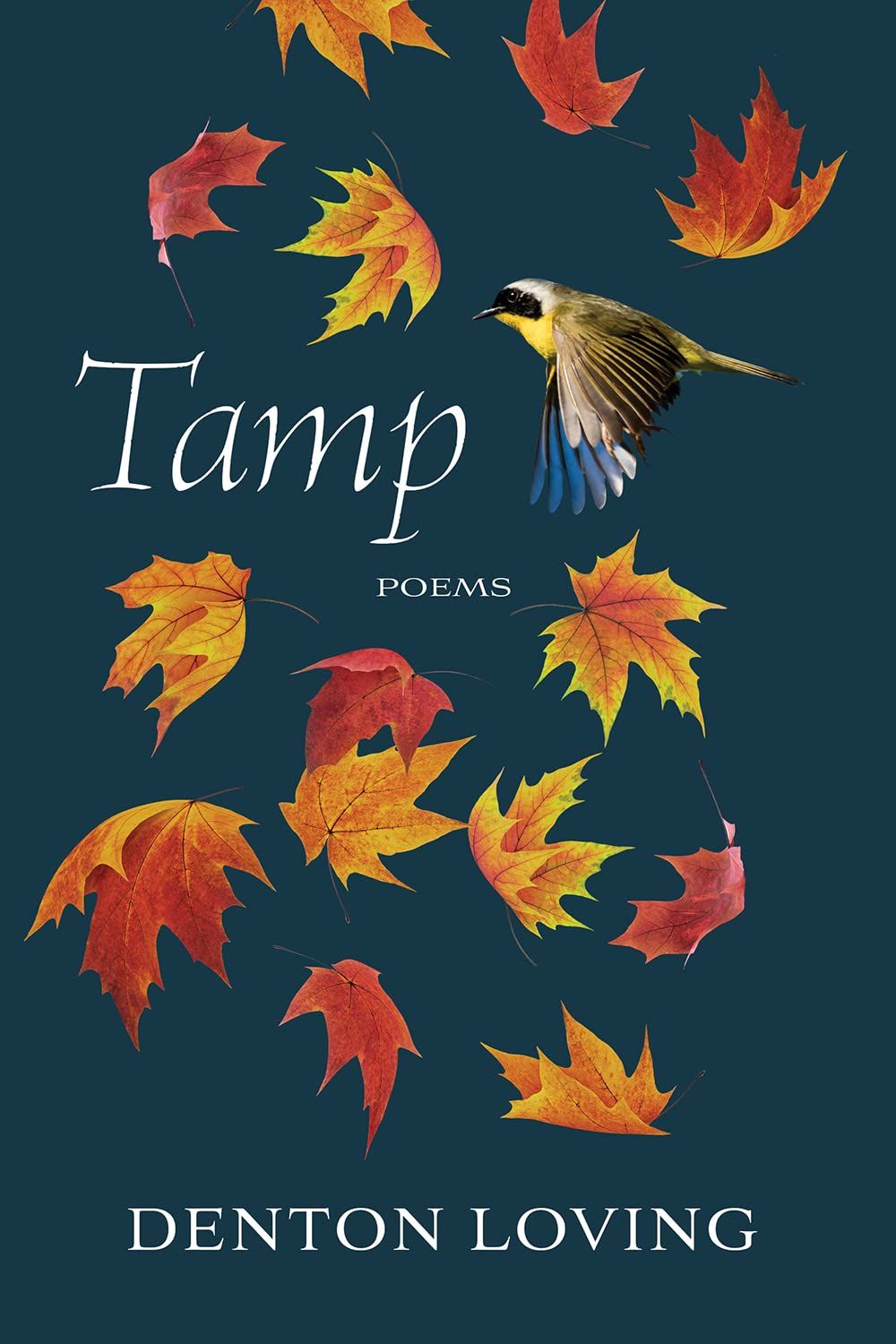 a graphic of the cover of Tamp by Denton Loving