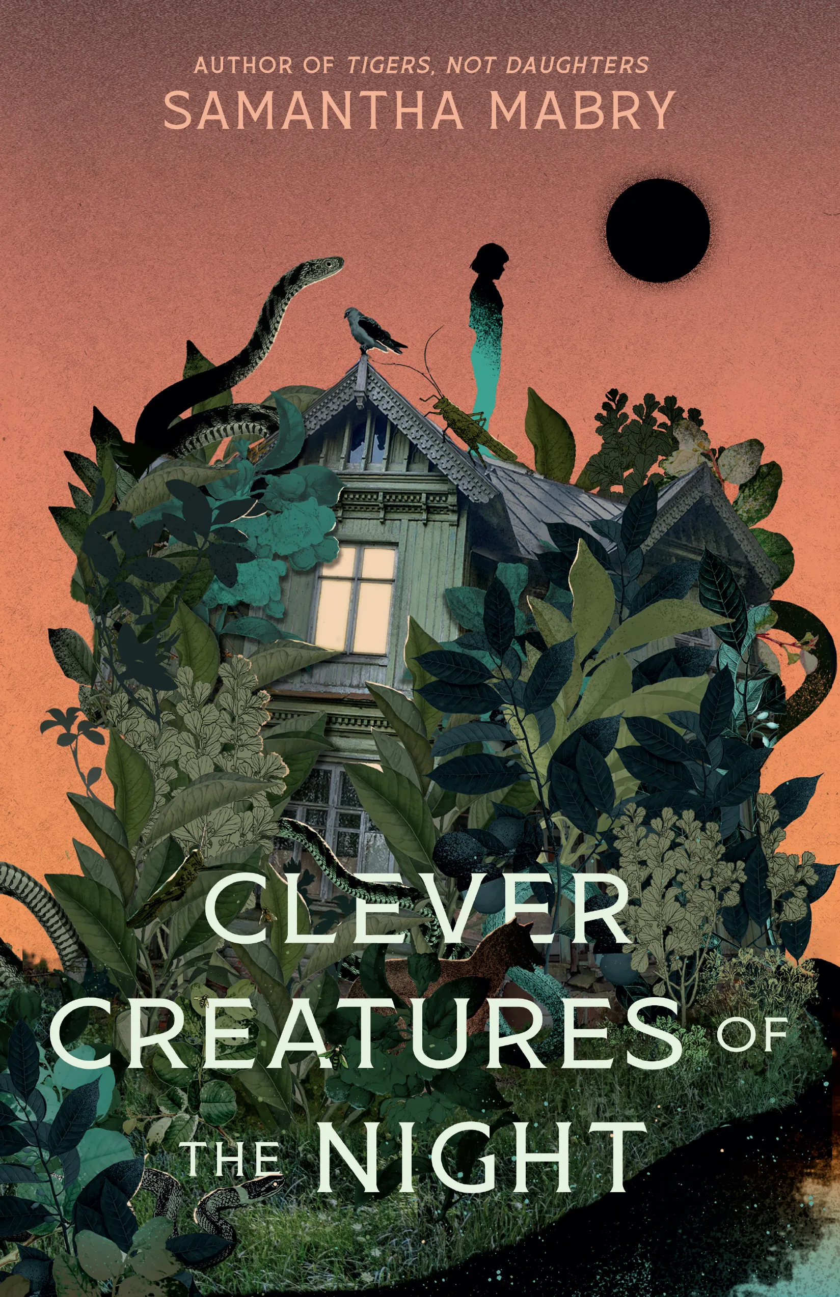 clever creatures of the night book cover