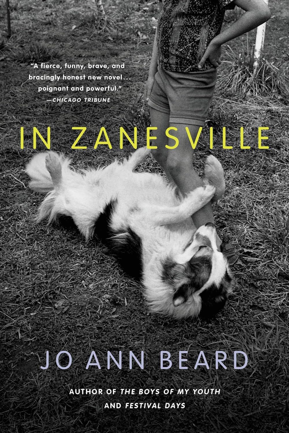 In Zanesville by Jo Ann Beard - book cover