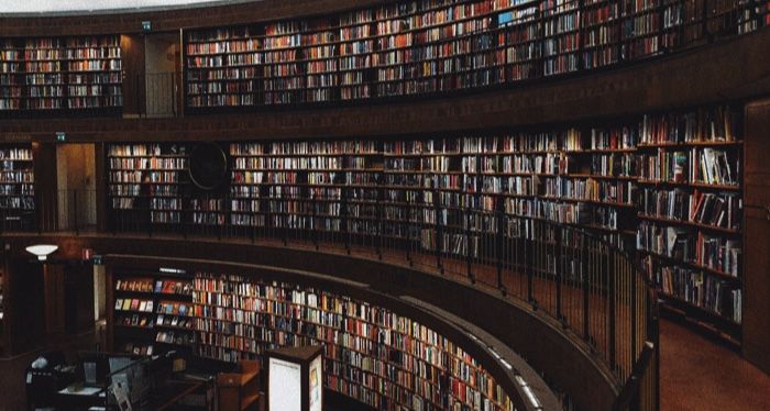 winding curvy library shelves.jpg.optimal