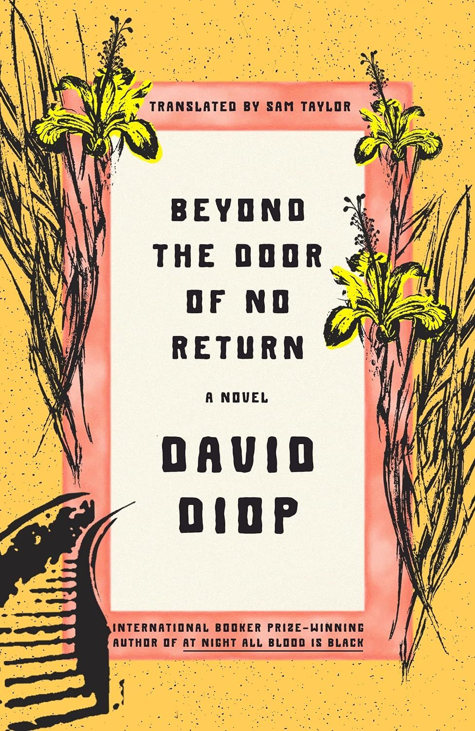 cover of Beyond the Door of No Return, David Diop