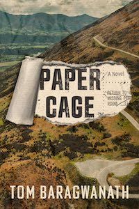 cover image for Paper Cage