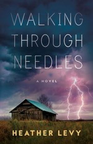 Walking Through Needles book cover