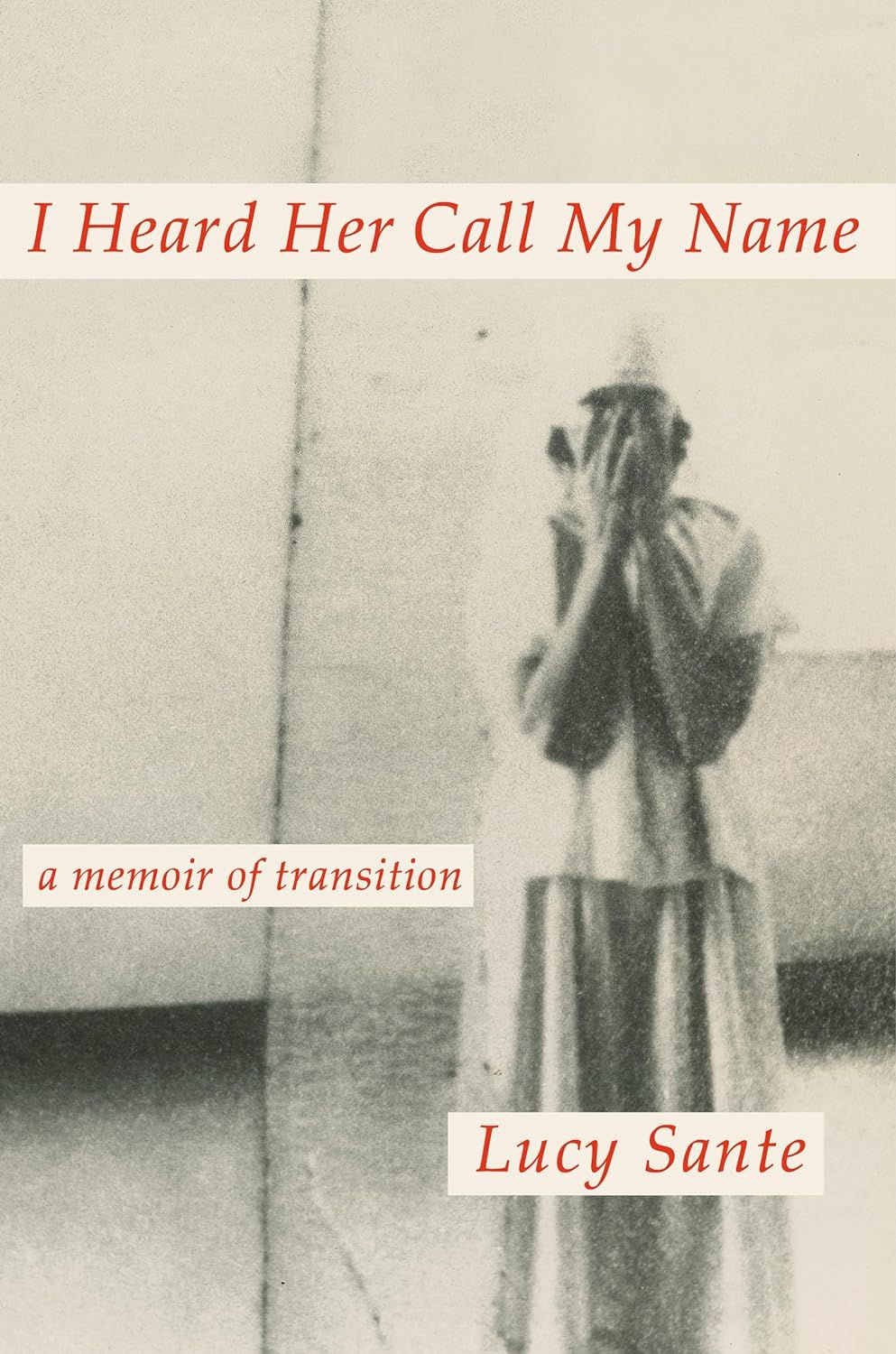 a graphic of the cover of I Heard Her Call My Name: A Memoir of Transition by Lucy Sante