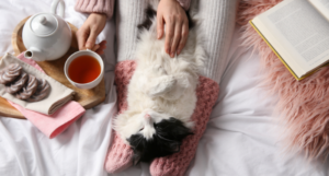 a photo of someone drinking tea with a book beside them, petting a cat's tummy