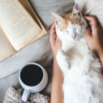 a cat being pet beside an open book