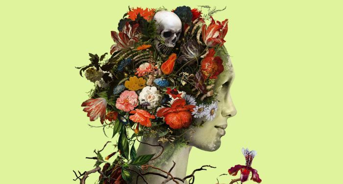 partial cover of A Botanical Daughter by Noah Medlock