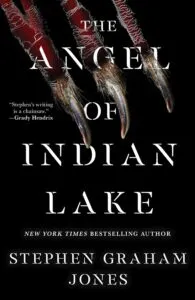 book cover of the angel of indian lake