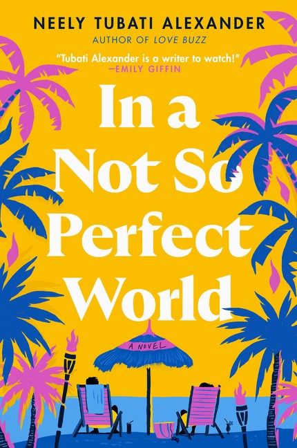 cover of In A Not So Perfect World