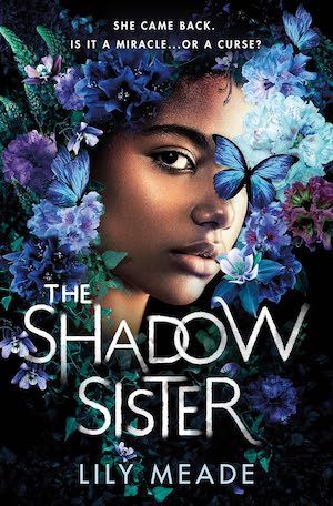 The Shadow Sister by Lily Meade book cover