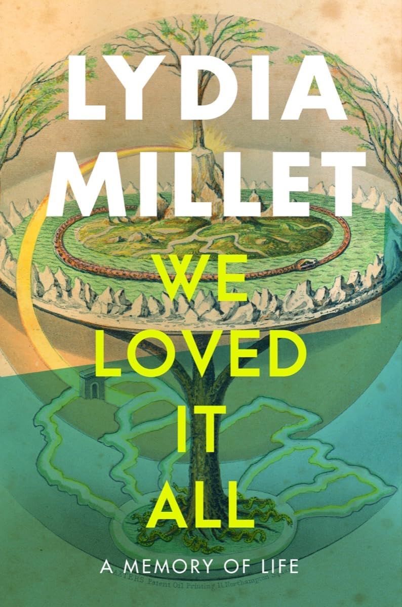 cover of We Loved It All by Lydia Millet