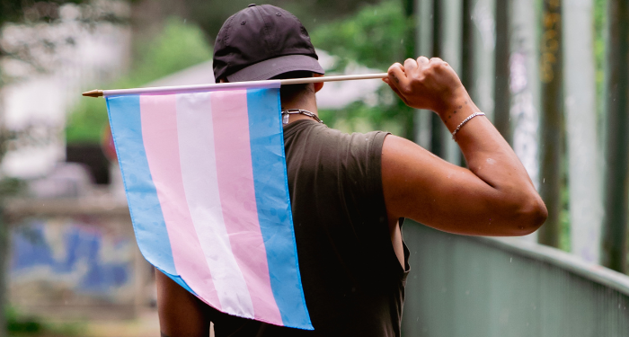 a person facing away from the camera holding a trans pride flag behind them