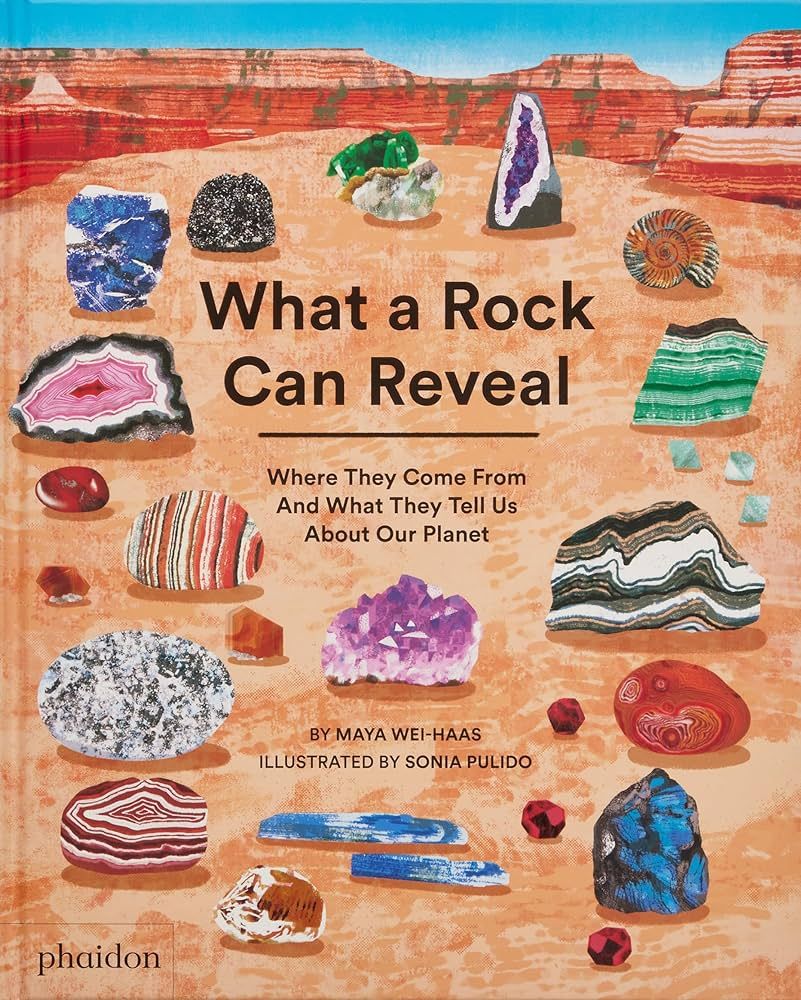 cover of What a Rock Can Reveal