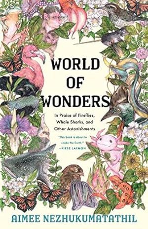 a graphic of the cover of world of wonders