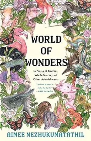 a graphic of the cover of world of wonders