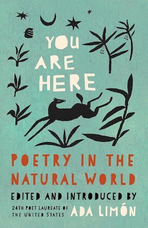 You Are Here edited by Ada Limón book cover