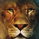 Aslan from the chronicles of narnia movie poster