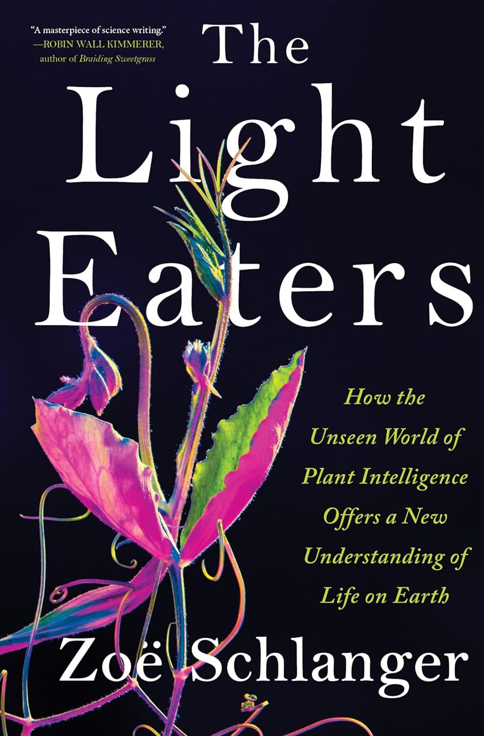 a graphic of the cover of The Light Eaters