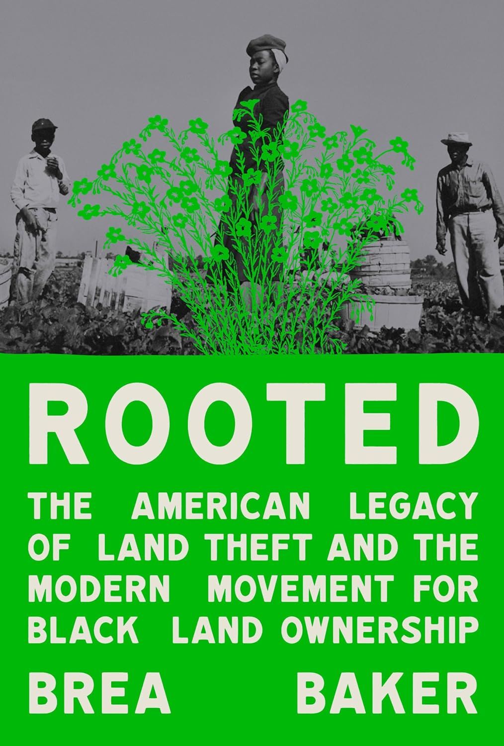 a graphic of the cover of Rooted: The American Legacy of Land Theft and the Modern Movement for Black Land Ownership by Brea Baker