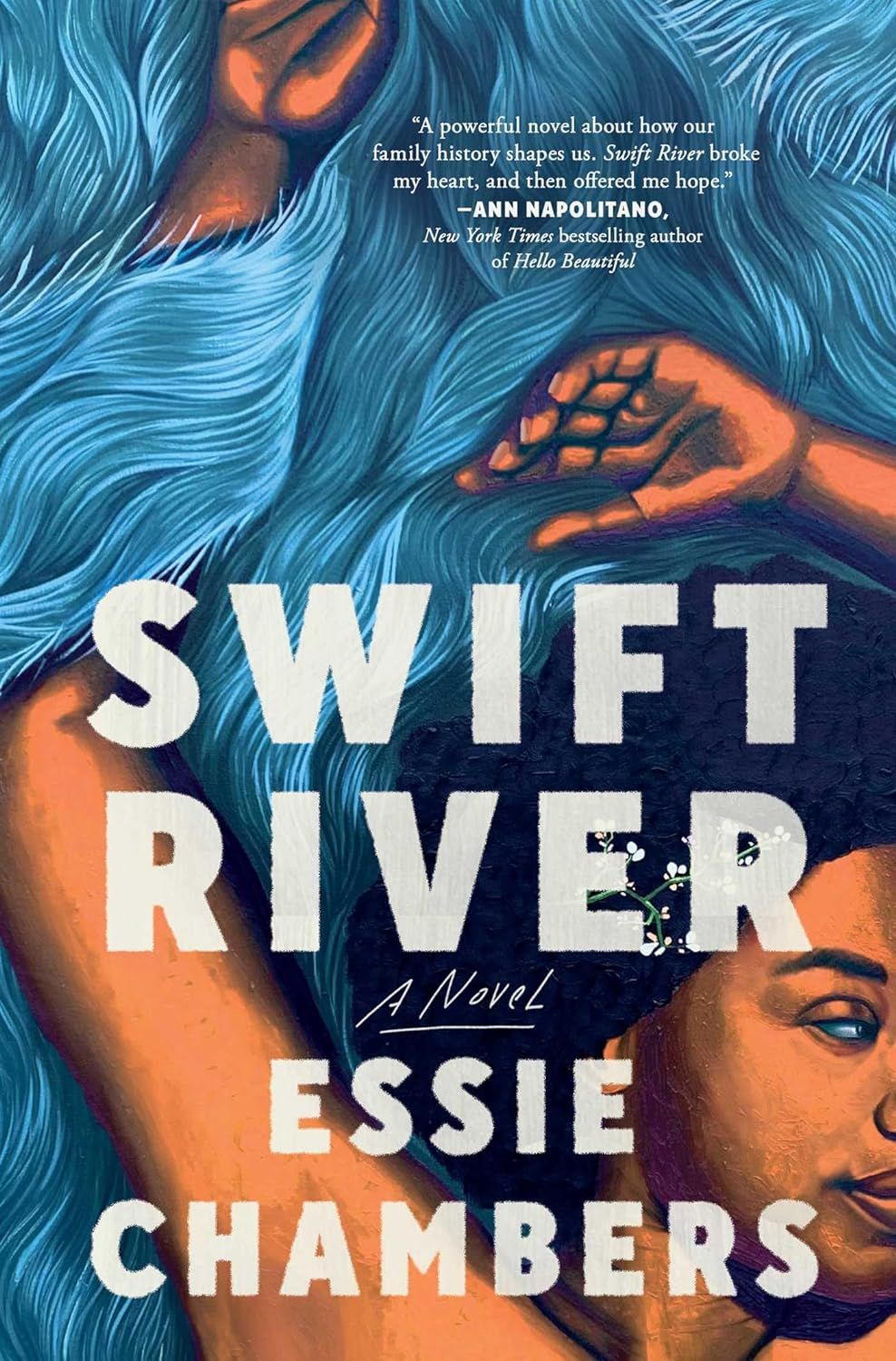 cover of Swift River