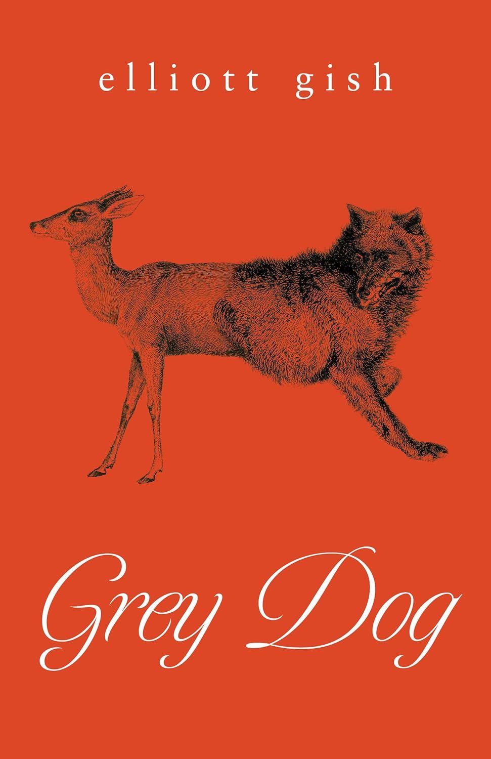 Book cover of Grey Dog by Elliot Gish
