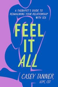 cover image for Feel It All