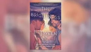 Book cover of The Brightness Between Us by Eliot Schrefer