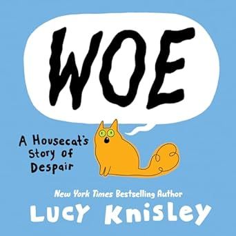 woe book cover