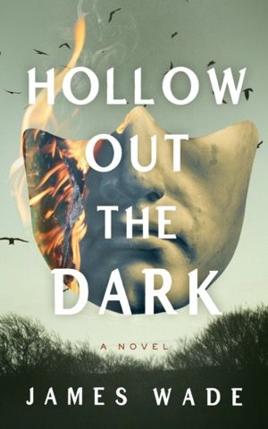 Book cover of Hollow Out The Dark by James Wade