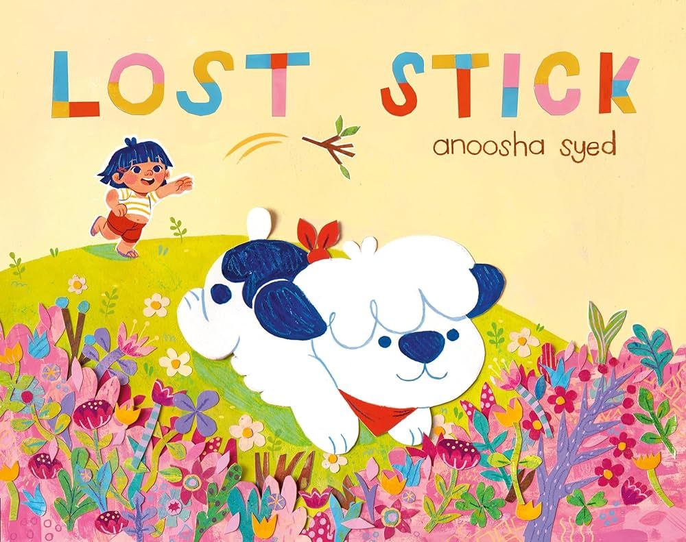 Cover of Lost Stick by Anoosha Syed