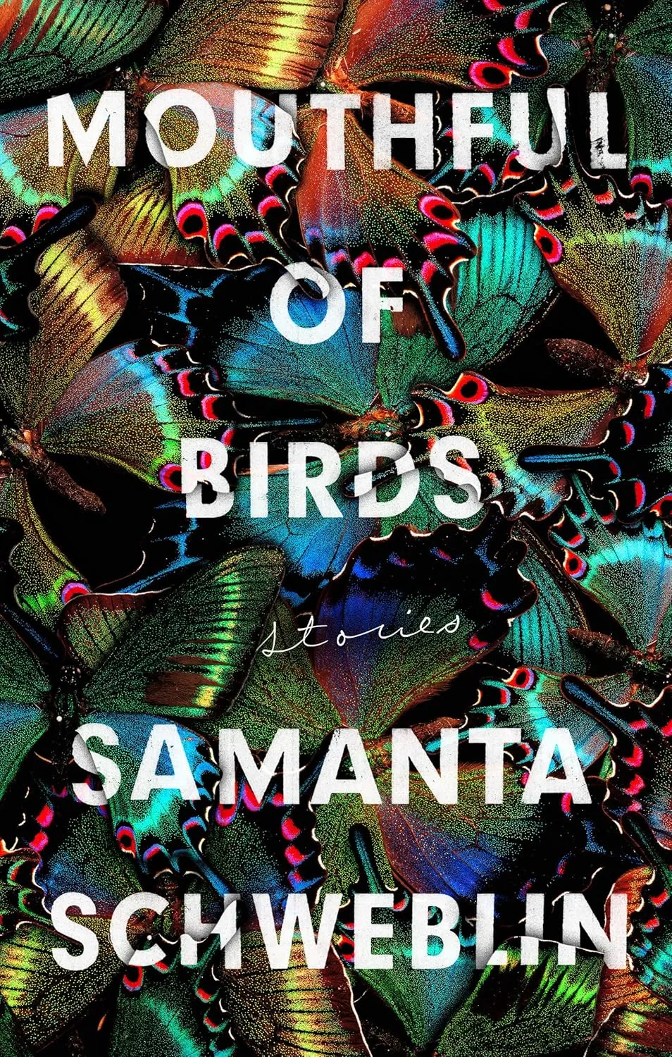 a graphic of the cover of Mouthful of Birds by Samanta Schweblin