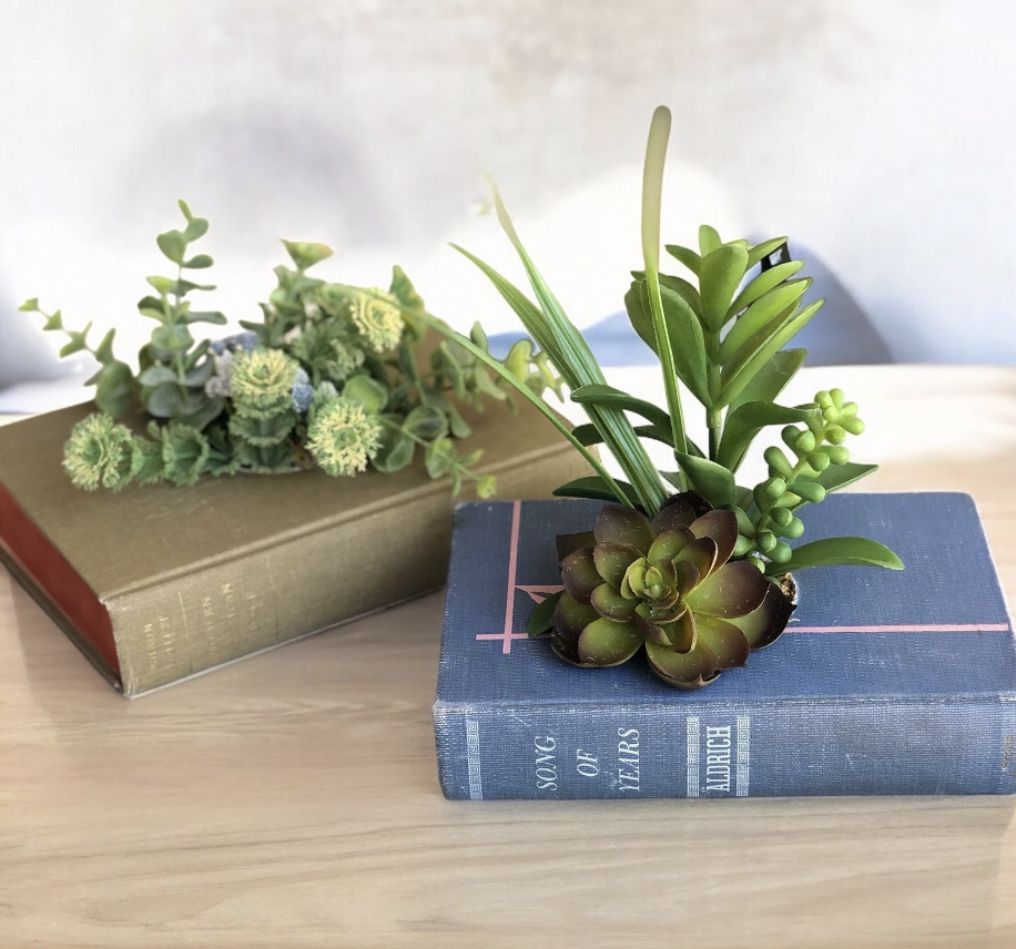 image of two old books that have holes carved out of the center to create planters, with succulents growing in each