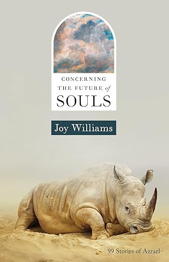 Cover of Concerning the Future of Souls by Joy Williams