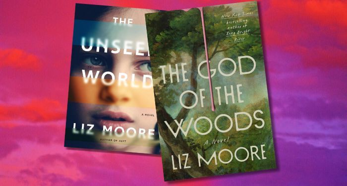 cover of liz moore novels