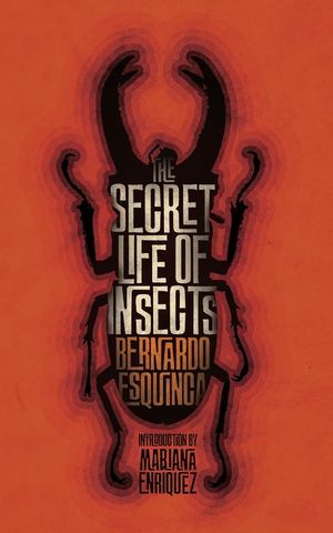 The Secret Life of Insects - book cover