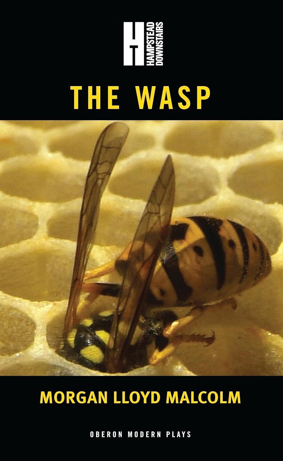 The Wasp cover