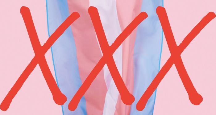 image of a trans flag with three red x's on top