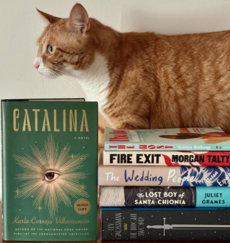 An orange cat walking behind a stack of books; photo by Liberty Hardy