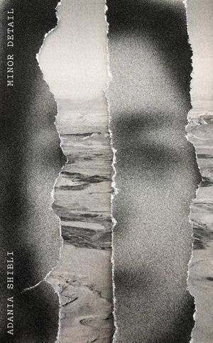 cover of Minor Detail by Adania Shibli, translated by Elisabeth Jaquette