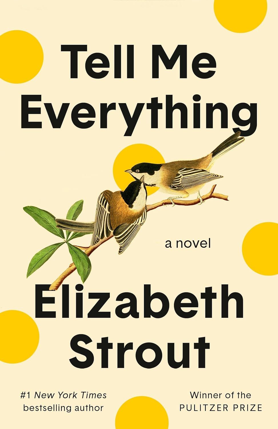 cover of Tell Me Everything by Elizabeth Strout