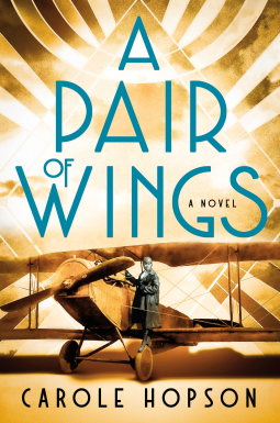 A Pair of Wings book cover