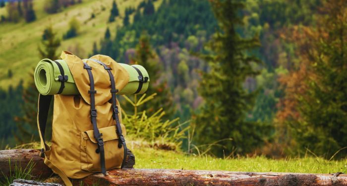 yellow backpack resting on a log in nature