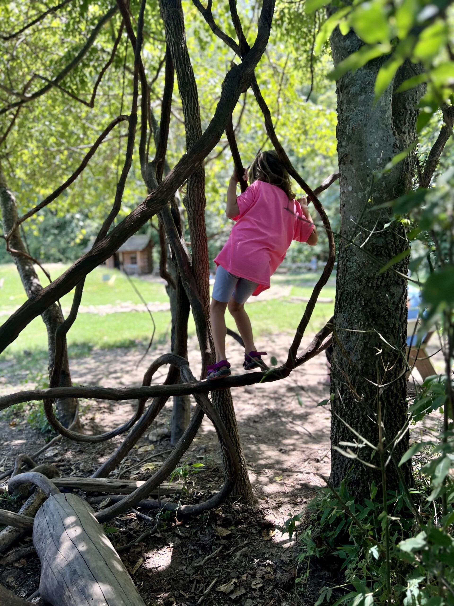 Climbing trees, the kids are all right