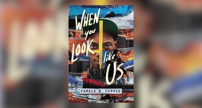 when you look like us book cover