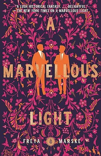 cover of A Marvellous Light