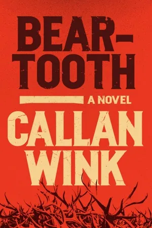 Book cover of Beartooth by Callan Wink