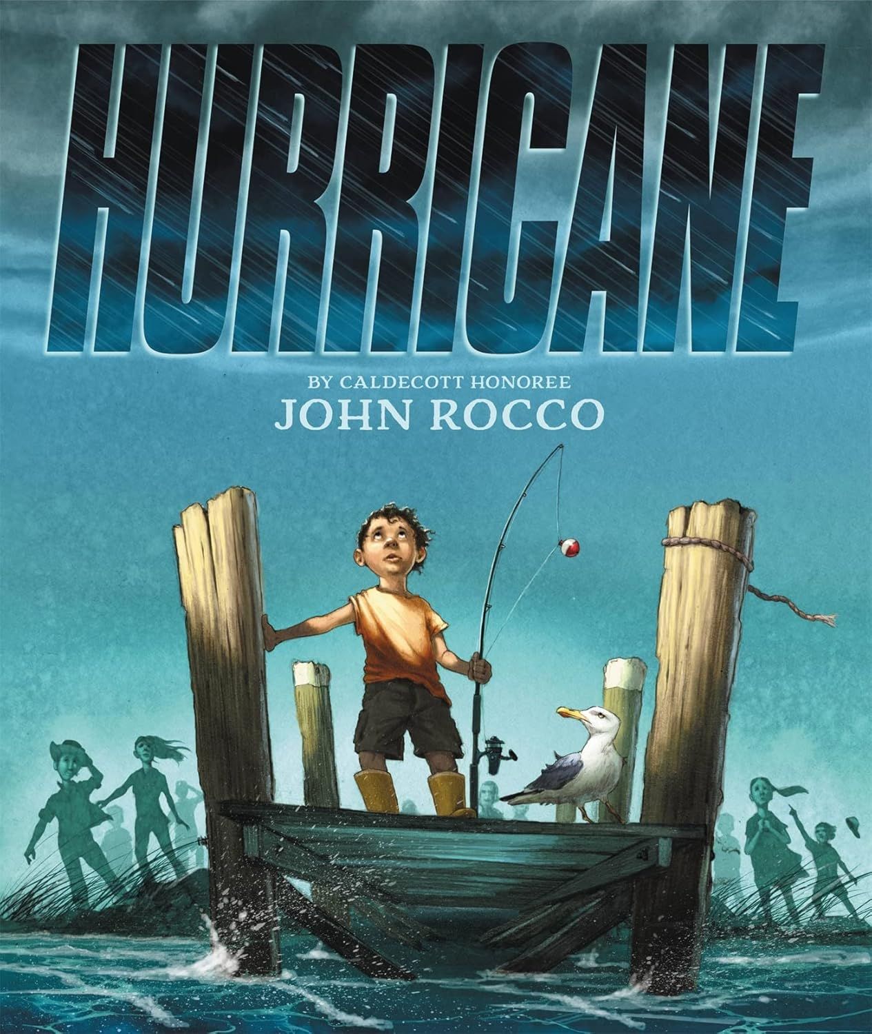 Cover of Hurricane by John Rocco