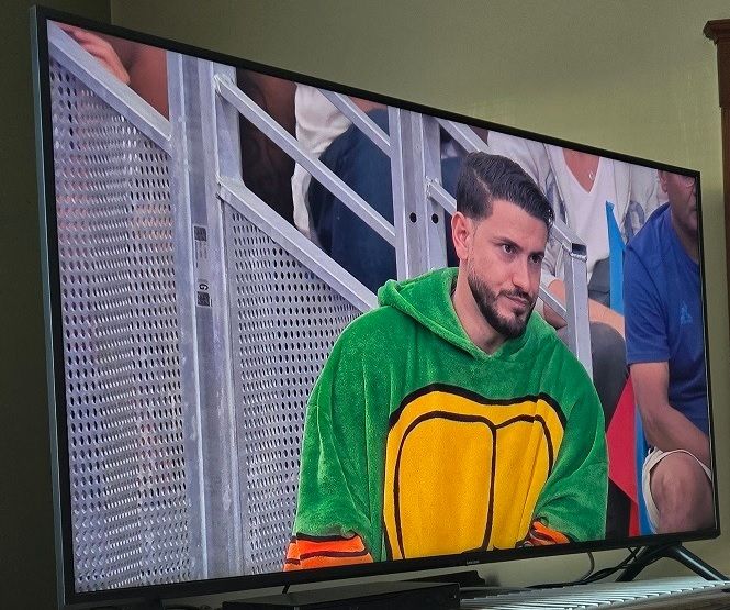 Author photo of a television paused on a scene of a man in a Teenage Mutant Ninja Turtle onesie in the audience of a sporting event