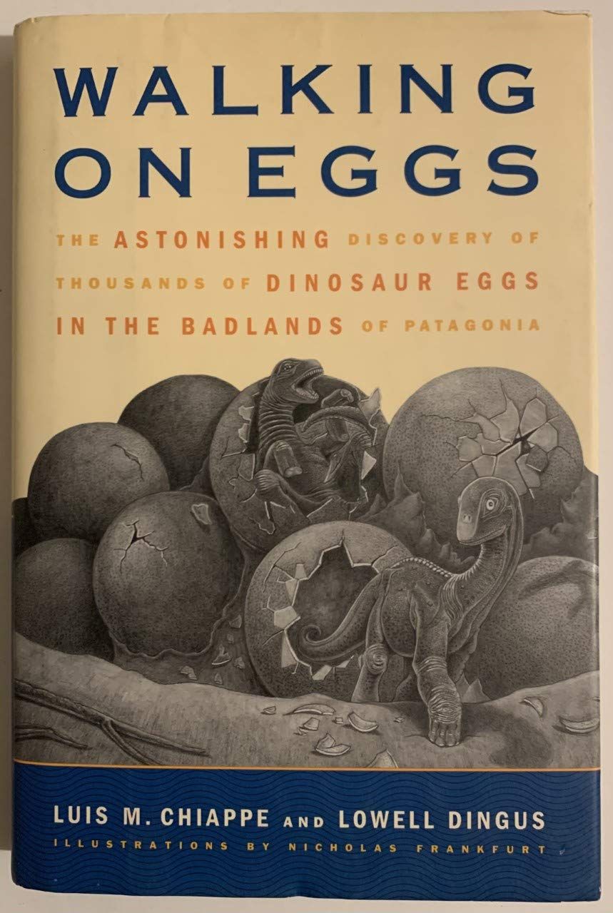 Walking on eggs book cover