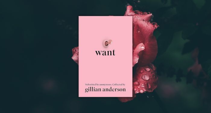 want by gillian anderson book cover feature